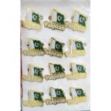 14th August Pakistan Independence Day Special Magnetic Badges 12 Pcs Pack
